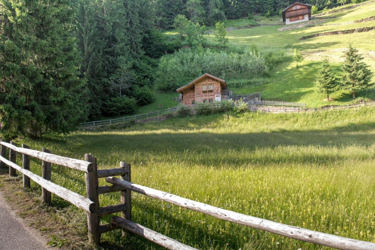 Chalet Bambi Vila Rabbi Exterior foto